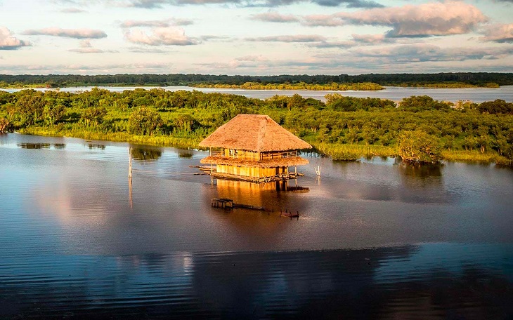 Amazonas 
